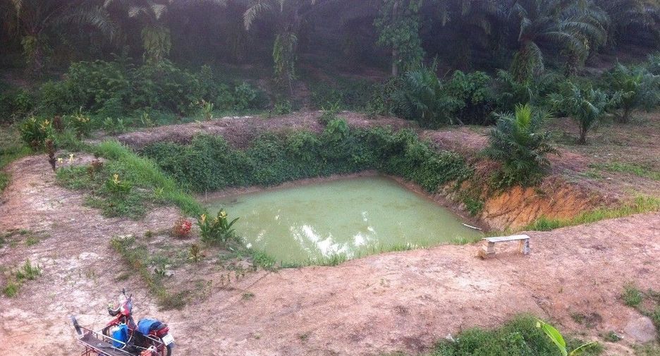 For sale land in Ao Luek, Krabi