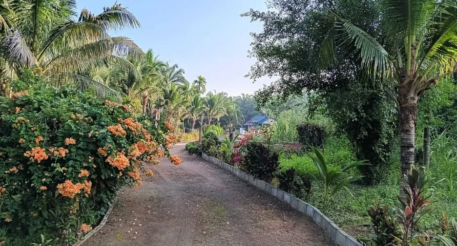 For sale land in Ao Luek, Krabi