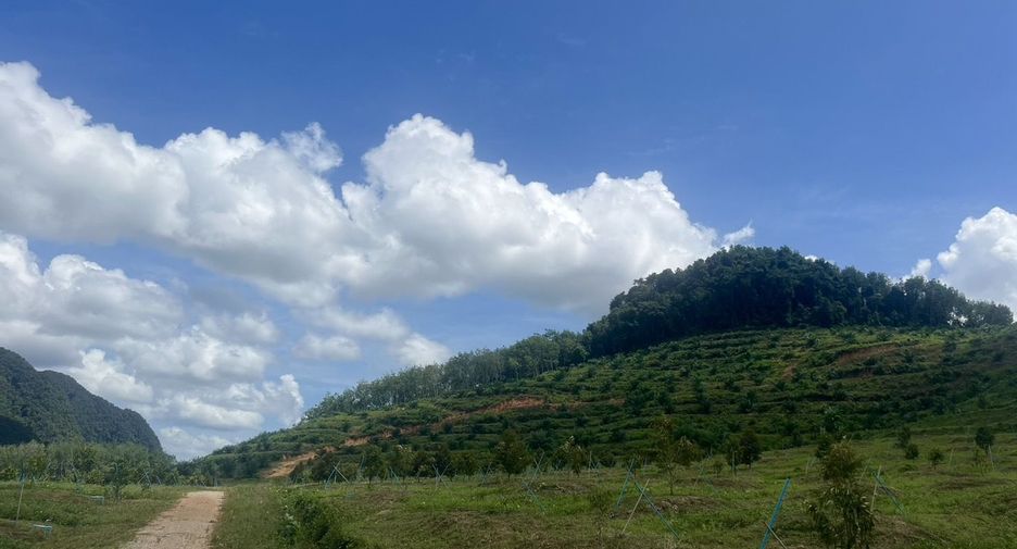 For sale land in Ao Luek, Krabi
