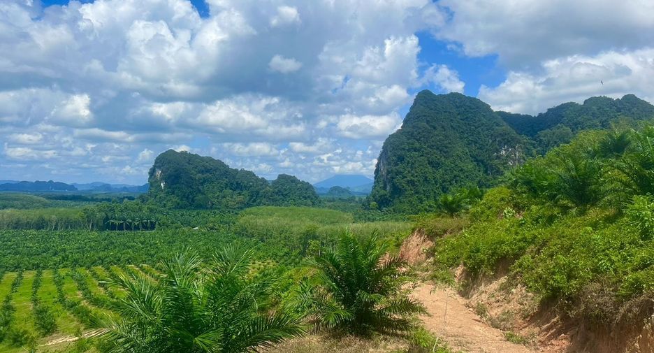 For sale land in Ao Luek, Krabi