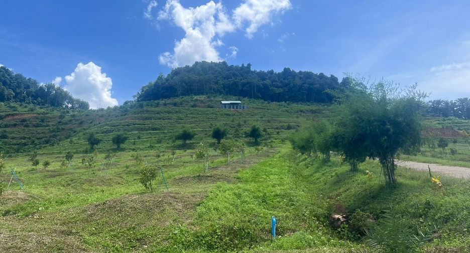 For sale land in Ao Luek, Krabi