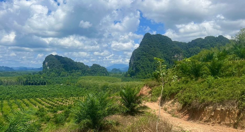 For sale land in Ao Luek, Krabi