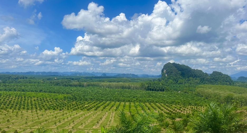 For sale land in Ao Luek, Krabi