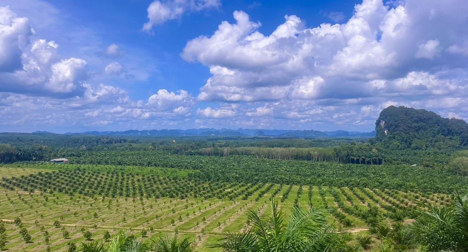 For sale land in Ao Luek, Krabi