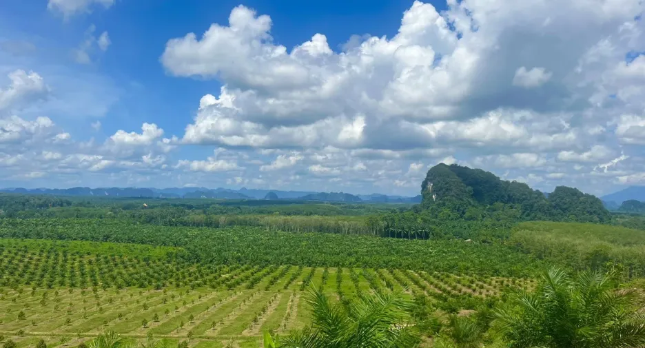 À vendre terrain à Ao Luek, Krabi