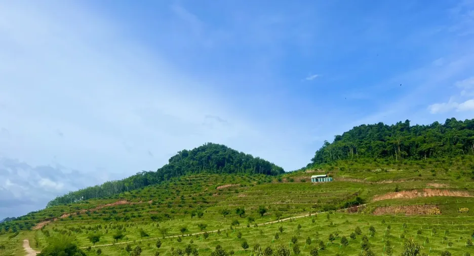 For sale land in Ao Luek, Krabi