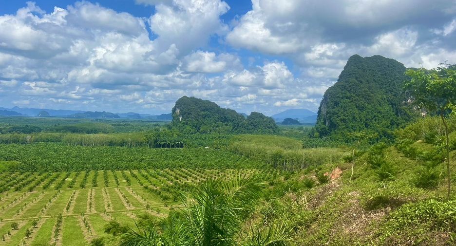 For sale land in Ao Luek, Krabi