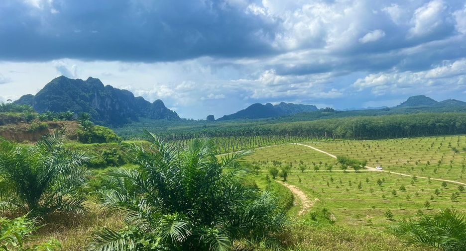 For sale land in Ao Luek, Krabi