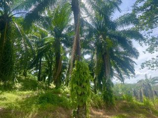 For sale land in Ao Luek, Krabi