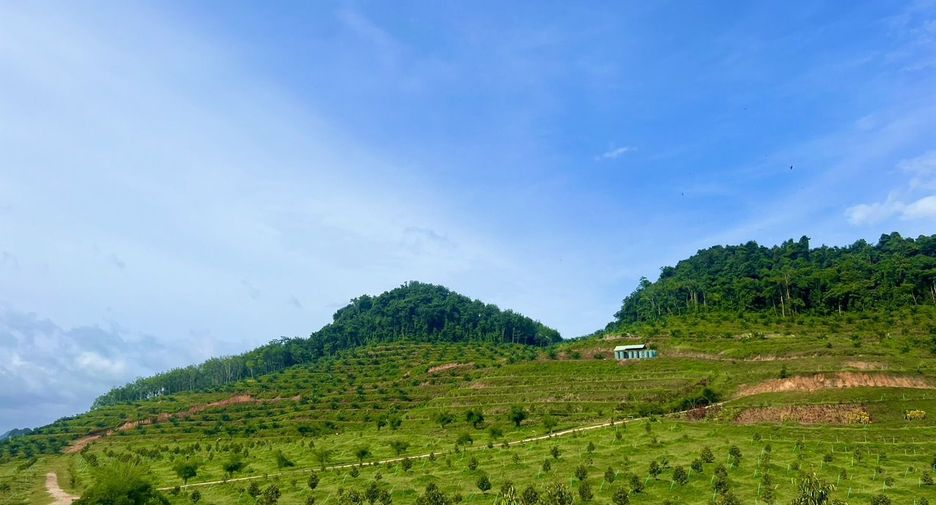 For sale land in Ao Luek, Krabi