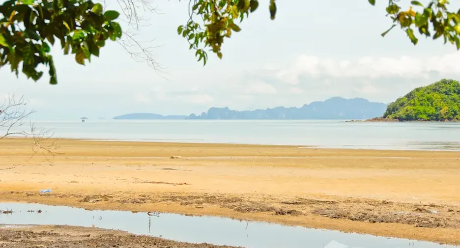 ขาย ที่ดิน ใน เหนือคลอง, กระบี่