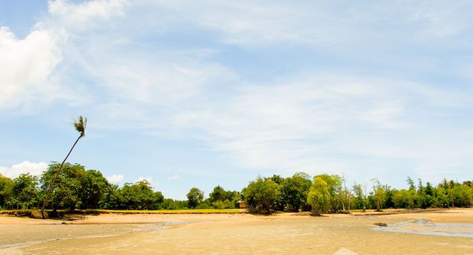 ขาย ที่ดิน ใน เหนือคลอง, กระบี่