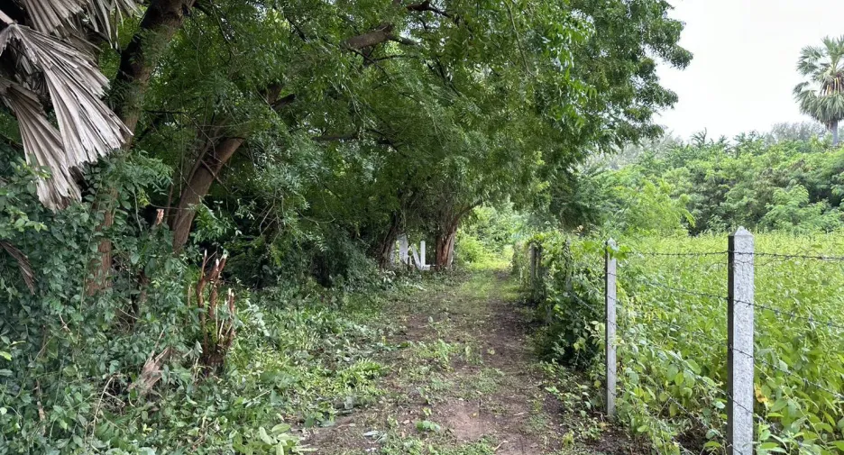 For rent 1 bed house in Cha Am, Phetchaburi