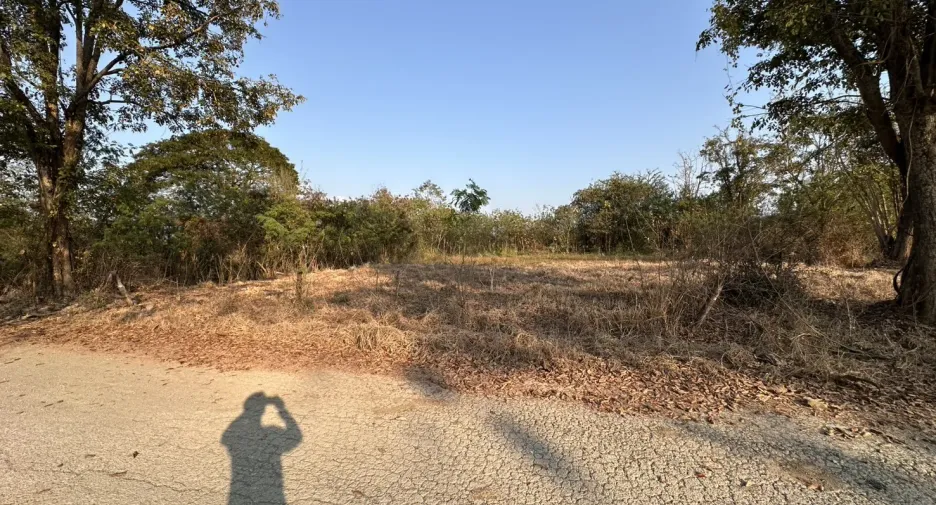 出售 土地 在 Doi Saket, Chiang Mai