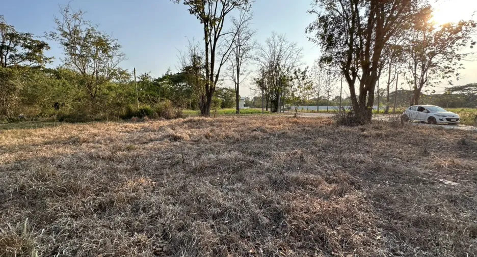 出售 土地 在 Doi Saket, Chiang Mai