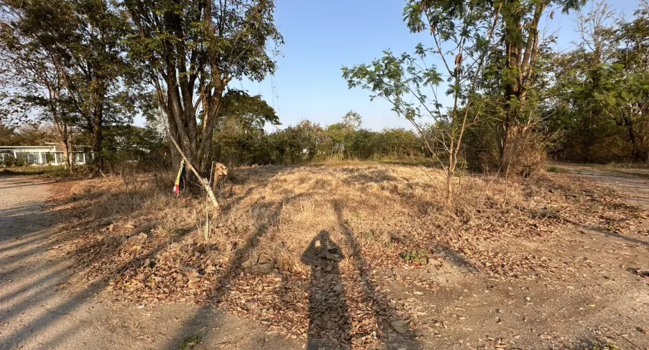 出售 土地 在 Doi Saket, Chiang Mai