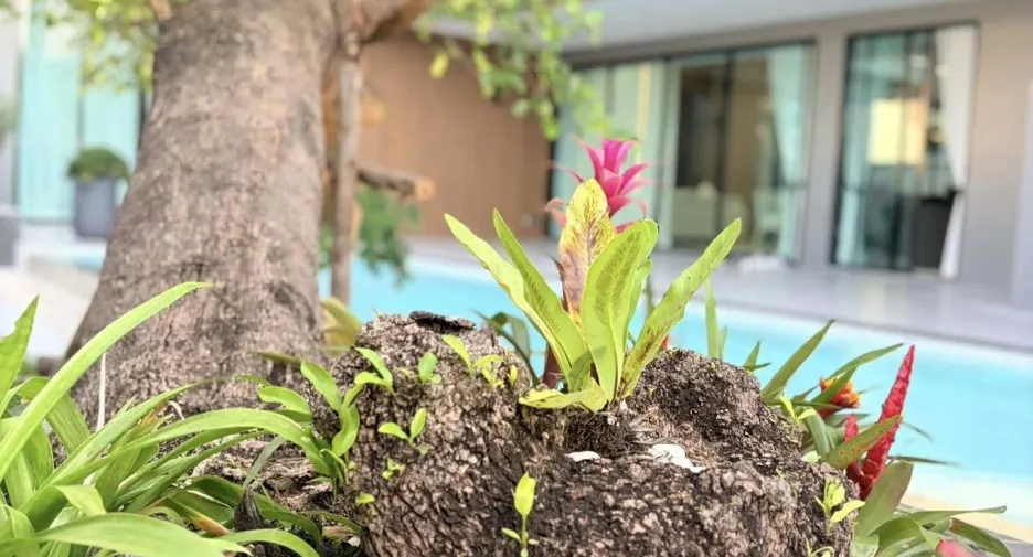 ขาย 7 ห้องนอน วิลล่า ใน บางละมุง, ชลบุรี