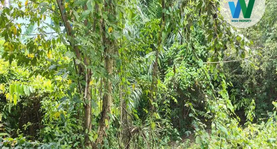 For sale land in Mueang Phatthalung, Phatthalung