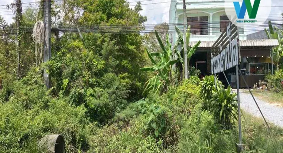 For sale land in Mueang Phatthalung, Phatthalung