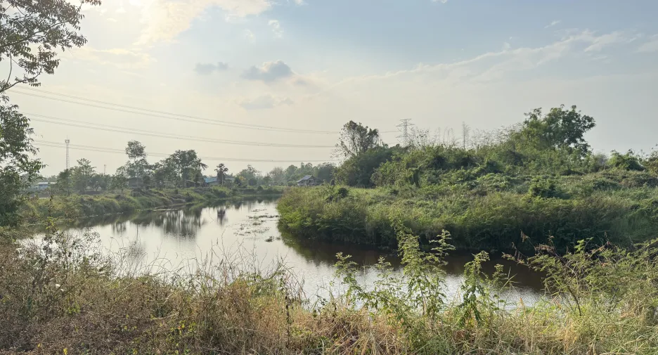 For sale land in Wang Thong, Phitsanulok