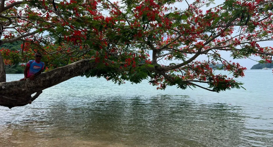 ให้เช่า 1 เตียง บ้านเดี่ยว ใน เมืองภูเก็ต, ภูเก็ต