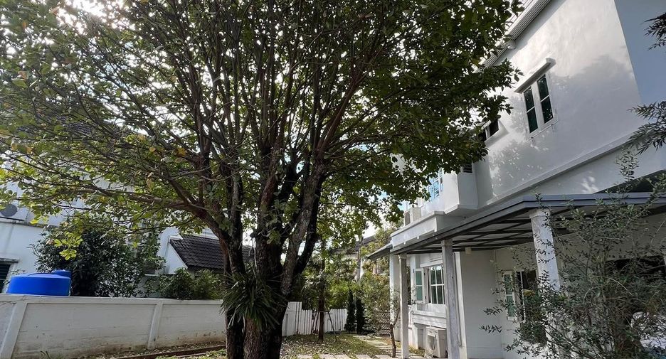 For sale and for rent 3 bedrooms house in Mueang Chiang Mai, Chiang Mai