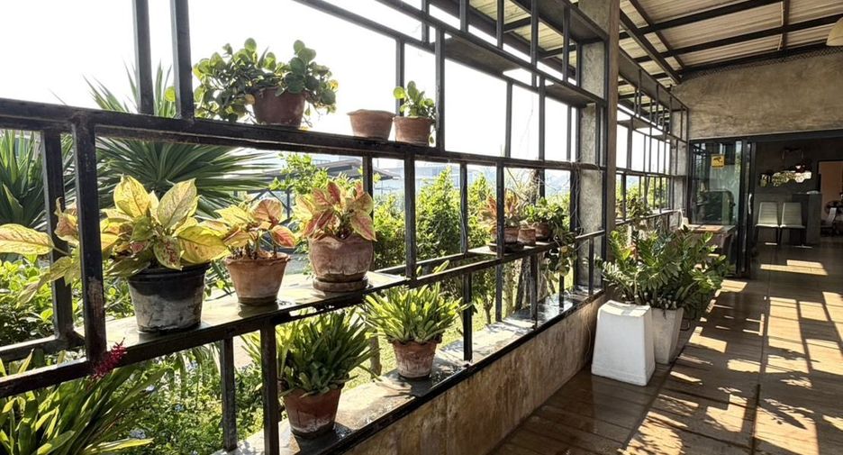 Local comercial en alquiler en Mae Rim, Chiang Mai
