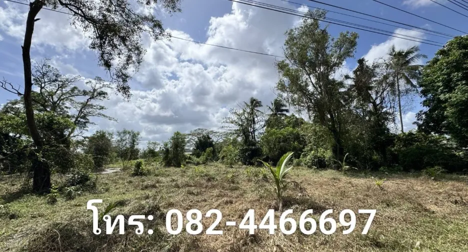 For sale land in Mueang Pattani, Pattani