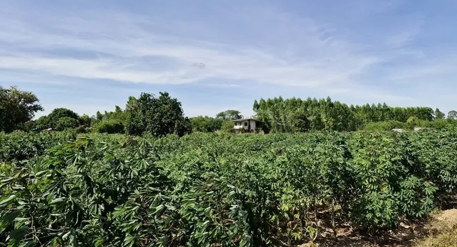 À vendre terrain à Phanom Sarakham, Chachoengsao