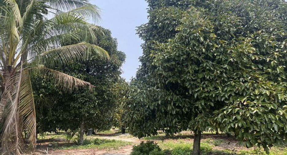 For sale land in Mueang Prachinburi, Prachin Buri