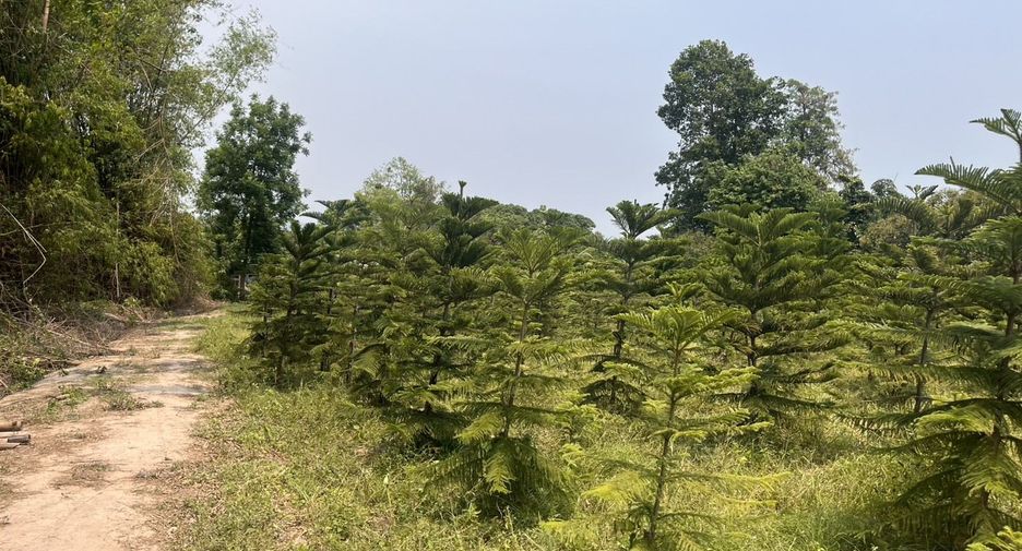 For sale land in Mueang Prachinburi, Prachin Buri