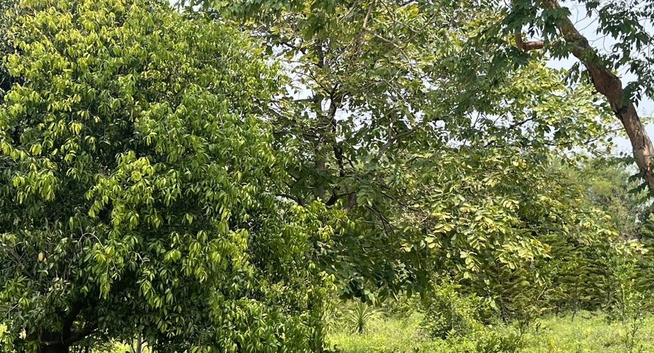 For sale land in Mueang Prachinburi, Prachin Buri