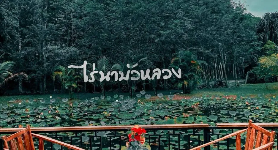 For sale and for rent hotel in Thung Song, Nakhon Si Thammarat