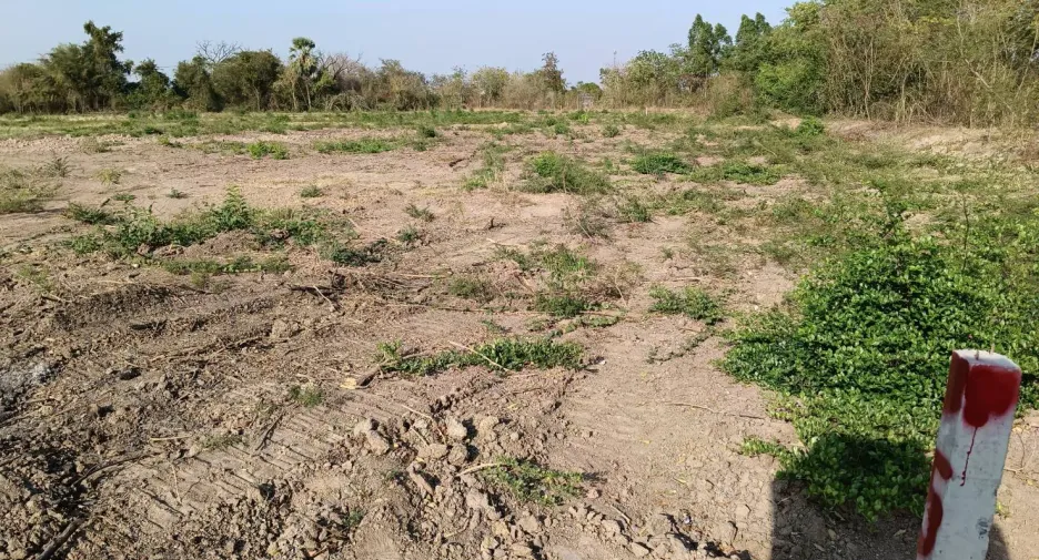 For sale land in Hankha, Chainat
