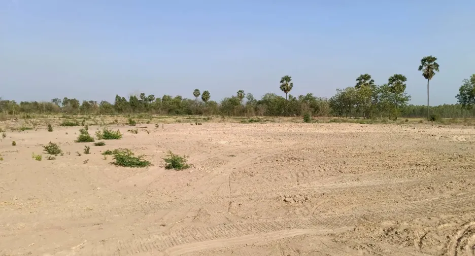 For sale land in Hankha, Chainat