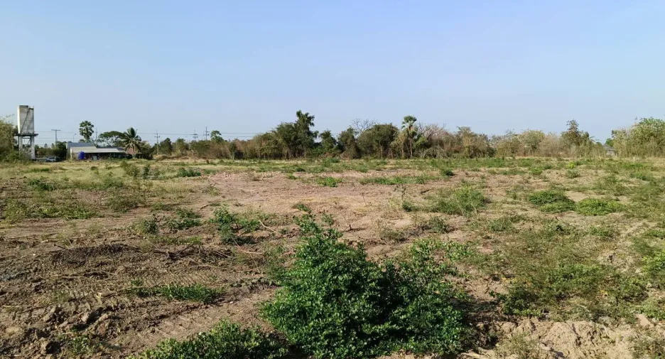 For sale land in Hankha, Chainat