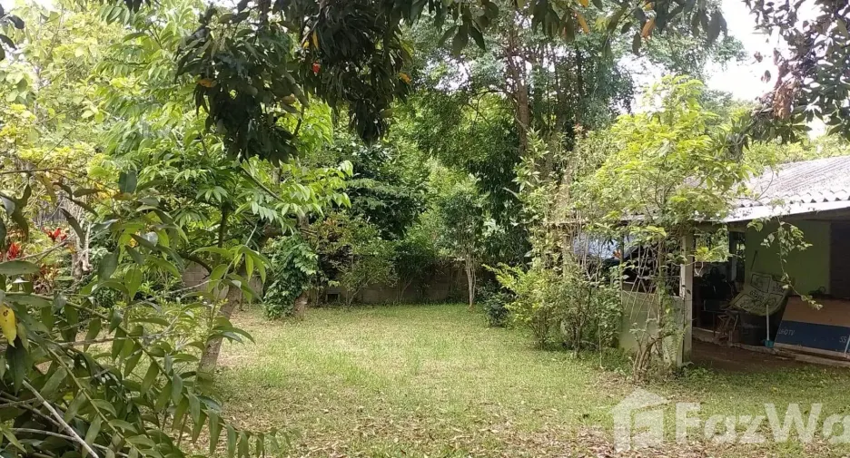For sale 3 bedrooms house in Mae Sai, Chiang Rai