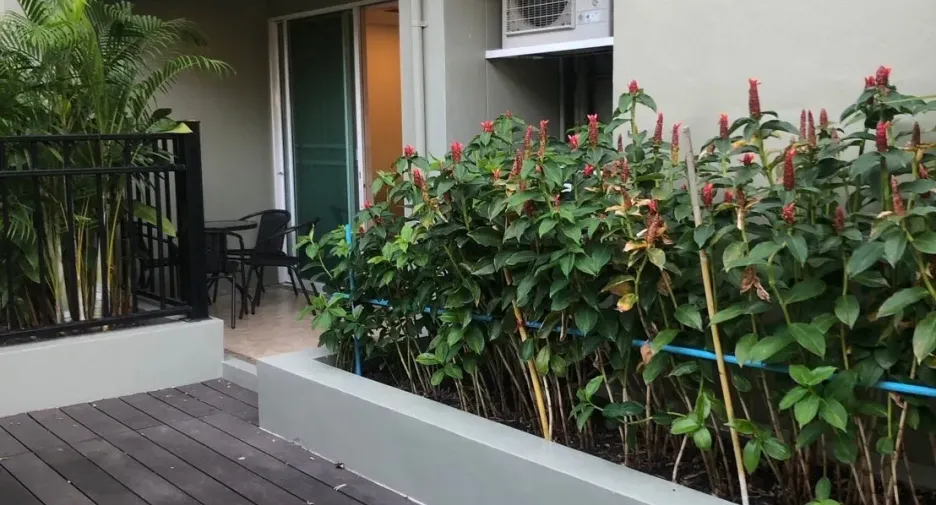 For rent 2 bedrooms apartment in Watthana, Bangkok