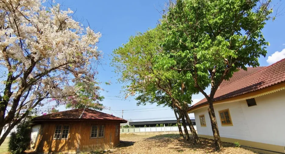 For sale studio house in Mueang Phrae, Phrae