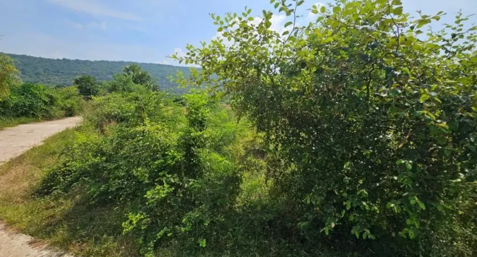 For sale land in Lam Sonthi, Lopburi