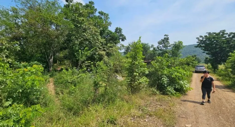 For sale land in Lam Sonthi, Lopburi