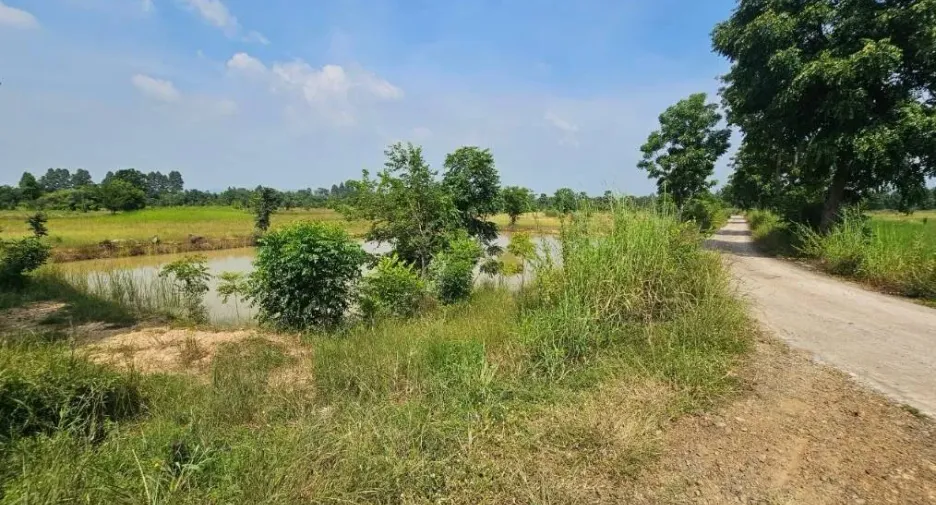 For sale land in Lam Sonthi, Lopburi