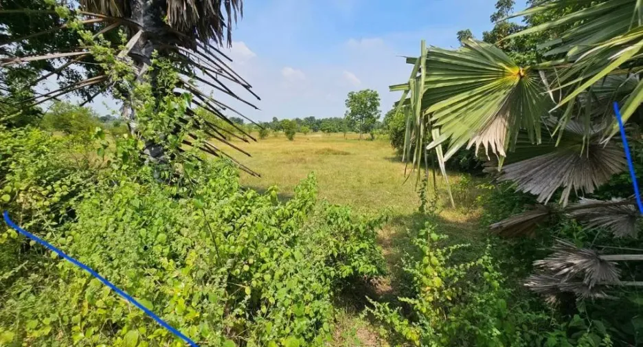 À vendre terrain à Lam Sonthi, Lopburi