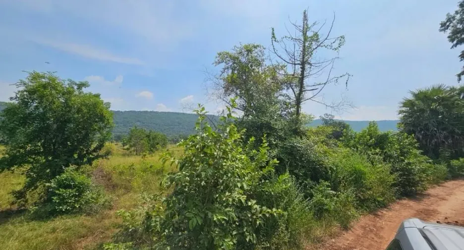 À vendre terrain à Lam Sonthi, Lopburi