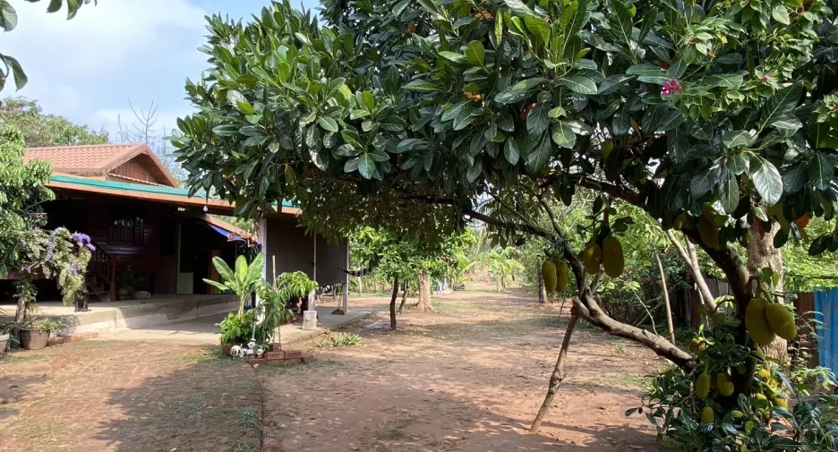 For sale land in Kantharawichai, Maha Sarakham