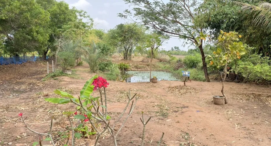 For sale land in Kantharawichai, Maha Sarakham