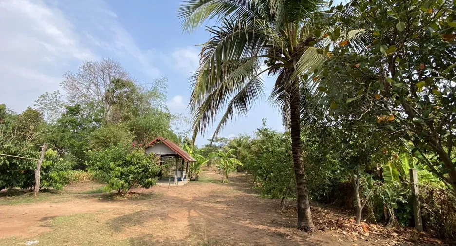 For sale land in Kantharawichai, Maha Sarakham