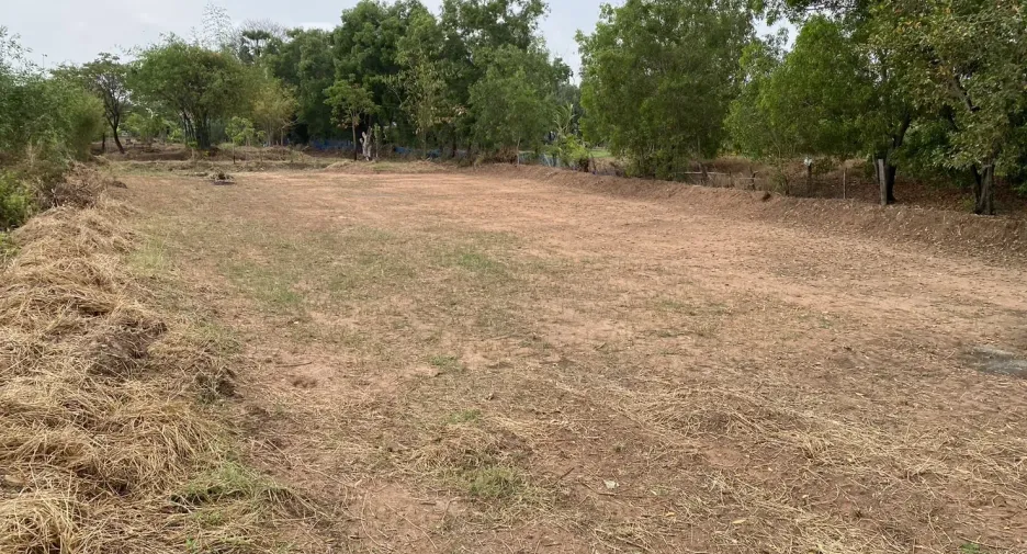 For sale land in Kantharawichai, Maha Sarakham