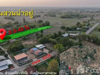 ขาย ที่ดิน ใน กันทรวิชัย, มหาสารคาม