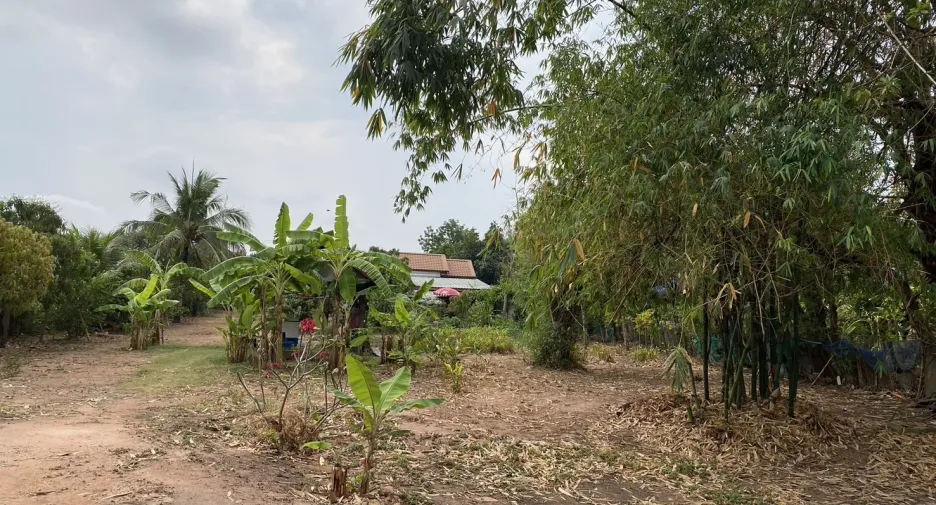For sale land in Kantharawichai, Maha Sarakham